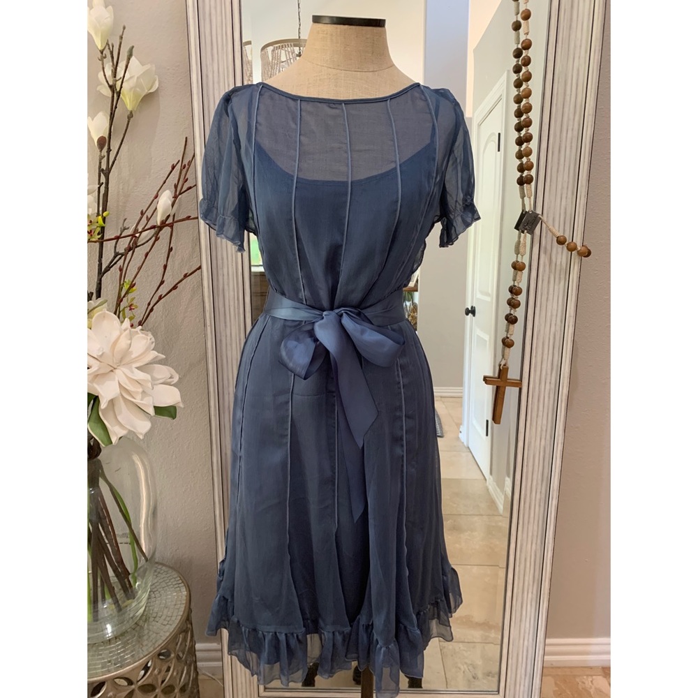 Elegant Organza Vintage Dress